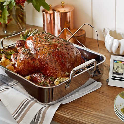 Williams-Sonoma Stainless-Steel Ultimate Roaster N2