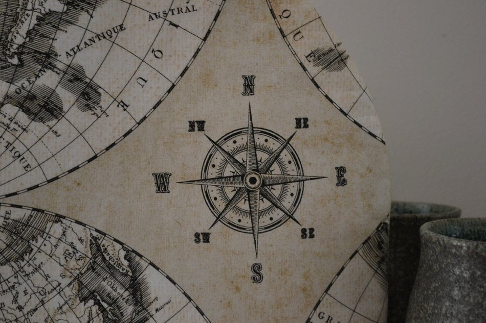 Voyage of the Beagle Explorer's Tea Cozy - Nautical Antique Map Print With Compass and the World - Medium Only N2