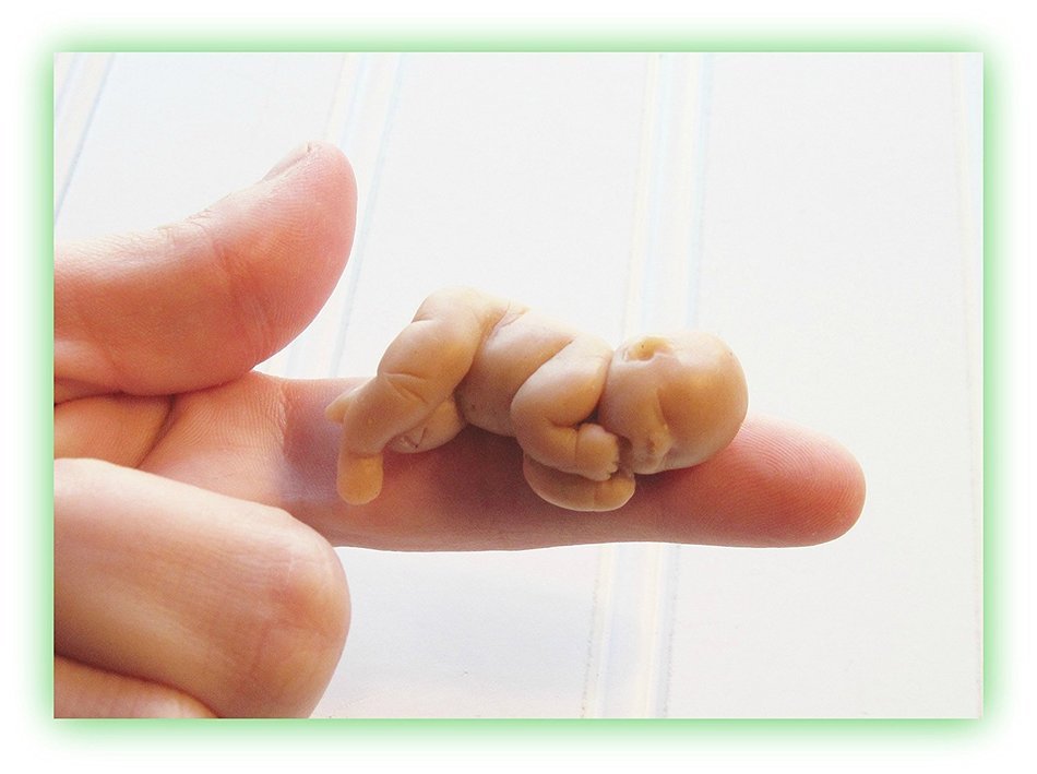 Mold for Little Baby "Lulu" Soft Silicone Mold Handmade Supply 1.5" N4