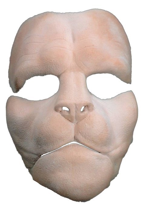 Prosthetic Lion Full Face N3