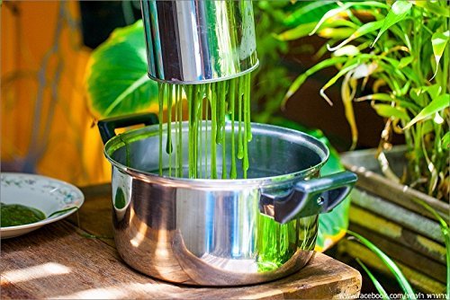Good@ Thai Traditional Kitchenware for LOD CHONG Cendol Imilk Stianless Mold Thai dessert.Milk Medium Size N2
