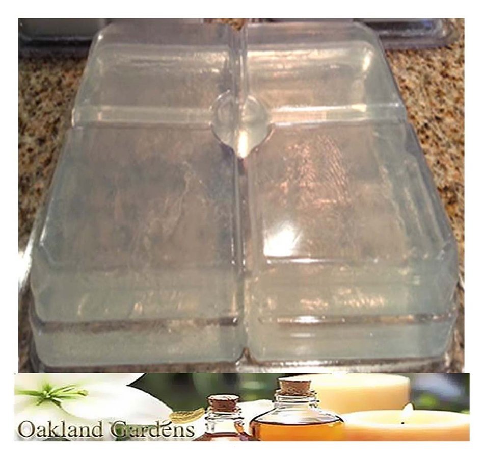 2 LB x GLYCERIN CLEAR Melt and Pour MP Soap with SILICONE MOLDs - Perfect Indoor Activity, Good Clean Fun, Hobby... N4