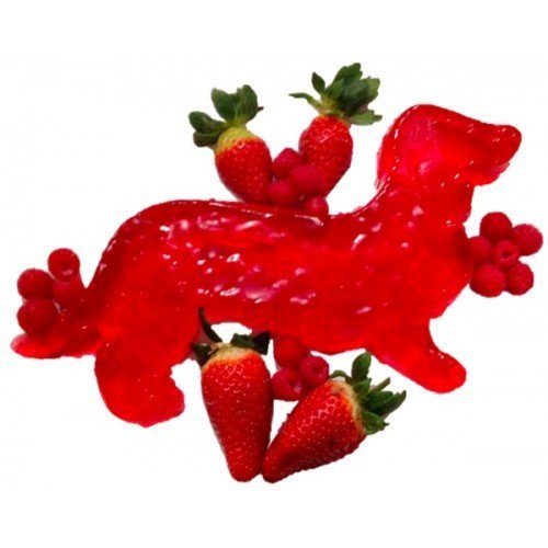 Exclusive Dachshund Cake Pan Mould N3