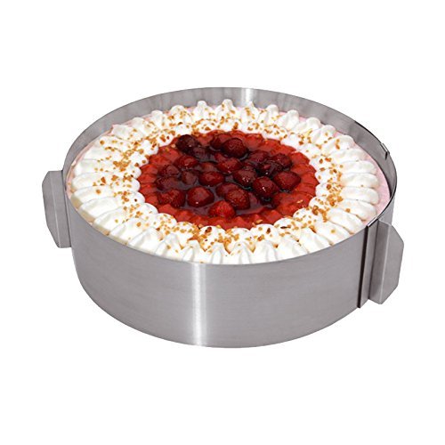 Westmark 31312260 Cake Setting Ring, Gray N2