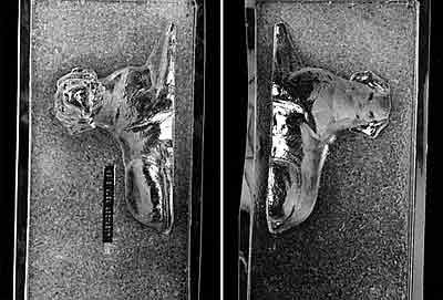 Cybrtrayd Labrador Retriever Chocolate Candy Mold