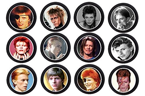 12 DAVID BOWIE birthday party cupcake topper /food picks ROCK STAR