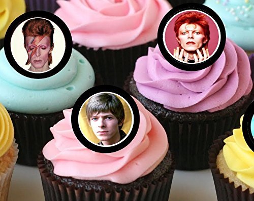 12 DAVID BOWIE birthday party cupcake topper /food picks ROCK STAR N2