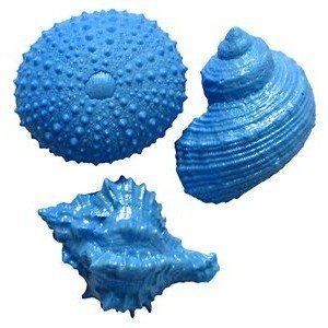 First Impressions Molds Silicone Mould - Shells - #22