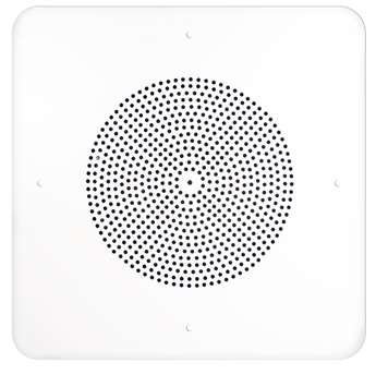 SPECO G86TG1X1 1'x1' G86 Ceiling Tile speaker