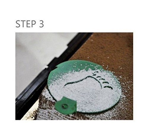 Caffe Sugar Power Sieve by Micro Shops N3
