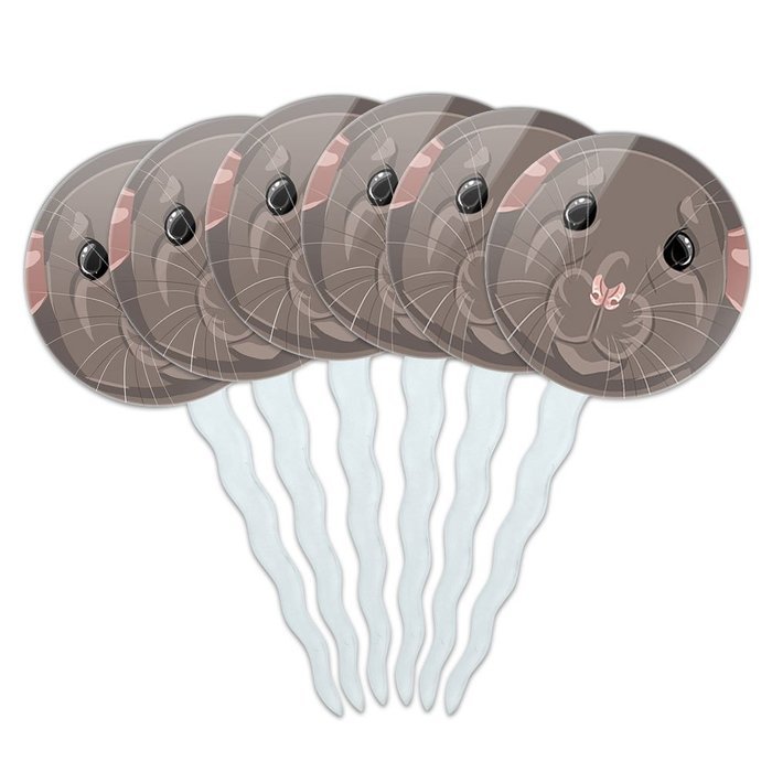 Set of 6 Cupcake Picks Toppers Decoration Animals - Sloth Face N7