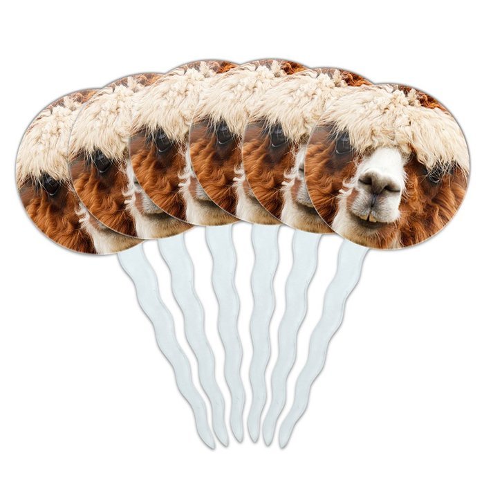 Set of 6 Cupcake Picks Toppers Decoration Animals - Sloth Face N10
