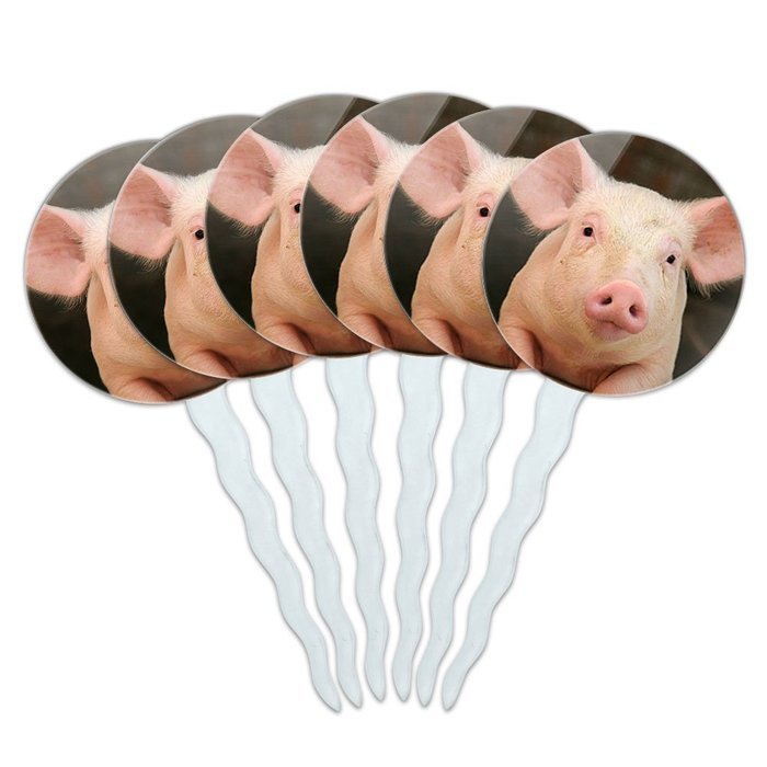 Set of 6 Cupcake Picks Toppers Decoration Animals - Sloth Face N11