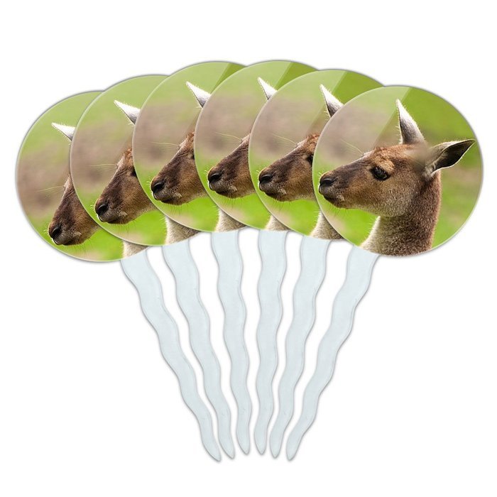 Set of 6 Cupcake Picks Toppers Decoration Animals - Sloth Face N13