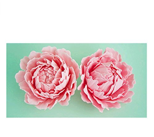 Anyana Peony Stainless Steel Decorating Tool Birthday Cake Mould Fondant Mold Cake Decorating Pastry Gum Pastry... N2