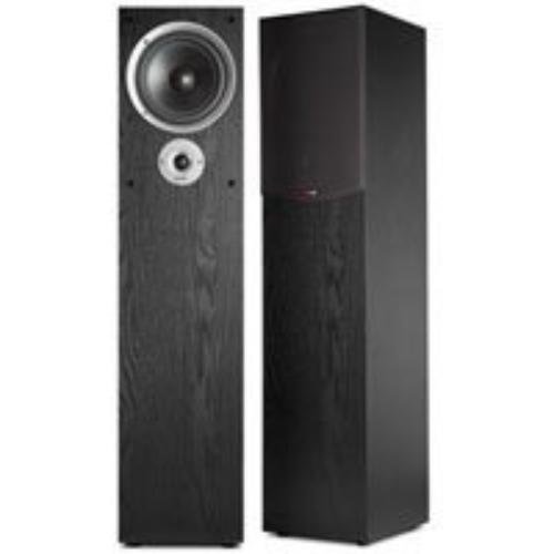 Polk Audio R300 Black Two-Way Floor-Standing Loudspeaker (Single)