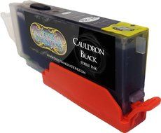 Edible Printer Bundle for Canon - Comes with Edible Ink Cartridges &amp; Frosting Sheets N6