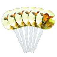 Set of 6 Cupcake Picks Toppers Decoration Animals - Sloth Face N24