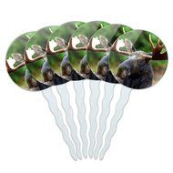 Set of 6 Cupcake Picks Toppers Decoration Animals - Sloth Face N25