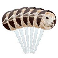 Set of 6 Cupcake Picks Toppers Decoration Animals - Sloth Face N27