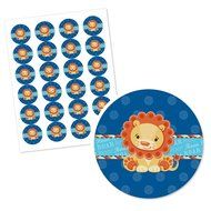 Lion Boy - Cupcake Picks with Stickers - Party Cupcake Toppers - 12 Count N2