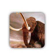 Generic Design With Elephant Funny Cup Mat Made By Mdf N6