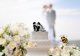 Carl and Ellie Up Inspired You are my Greatest Adventure Wedding Cake Topper