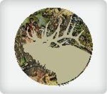 6 Inch Round - Mossy Oak Obsession Elk Silhouette - Edible Cake or Cupcake Topper N2