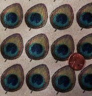 Edible Wafer Peacock Feathers ~ 1 1/4&quot; Size BUY TWO GET THIRD FREE!