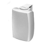 All weather music speaker, 70V/8ohm, PK2