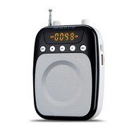 Vkenis High Power Teaching Speaker Voice Amplifier Loudspeaker With FM MP3 Player N9