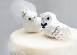 Snowy Owl Cake Topper in Winter White: Rustic &quot;Bride and Groom&quot; Love Bird Wed... N3