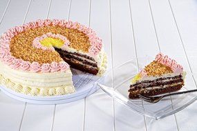 Cake Decorating Kit for Beginners &ndash; One of the Most Essential Cake Decorating Supplies &ndash; Comes with 11 Cake, Cupcake... N5