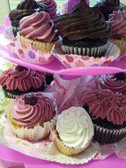 Cake Decorating Kit for Beginners &ndash; One of the Most Essential Cake Decorating Supplies &ndash; Comes with 11 Cake, Cupcake... N6