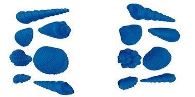 Silicone Molds Ocean Shell Decorating Fondant Gompaste Supply M4840by Ok Molds N2