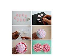 Anyana Peony Stainless Steel Decorating Tool Birthday Cake Mould Fondant Mold Cake Decorating Pastry Gum Pastry... N6