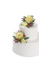 Wilton Fresh Flower Cake Spikes(Pack of 6) N2