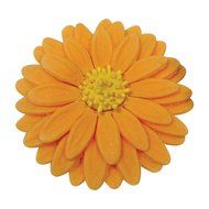 PME Plunger Cutters, Veined Sunflower Daisy and Gerbera, 3-Pack N3