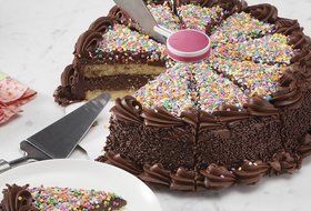 Hutzler 3881GR The Perfect Cake &amp; Pie Divider, , Green