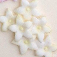 Filler Flowers Mold by Karen Davies N3