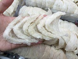 High Quality Asian Dessert Cuisine for Skin Beauty Health Selected Triangle Shape Dried Swallow Edible Bird&#039;s... N3