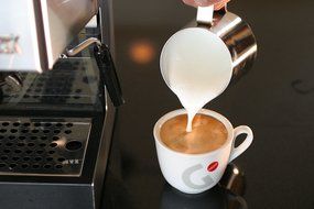 Gaggia 14101 Classic Espresso Machine, Brushed Stainless Steel