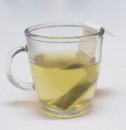 Mollo Tea Bag - Idea Leaf Tea Infuser - Disposable Variation Line N17