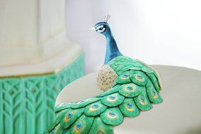 The Peacock Body and Small Tail Feather Mold Set N2