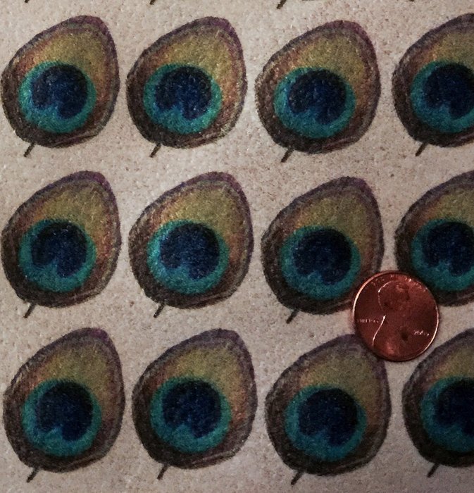 Edible Wafer Peacock Feathers ~ 1 1/4" Size BUY TWO GET THIRD FREE!