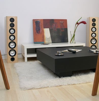 M80 Floorstanding Speaker - Boston Cherry N4