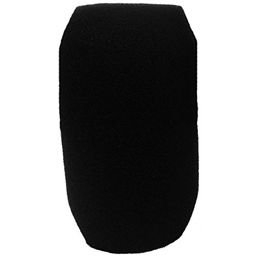 Electro Voice WS-PC1