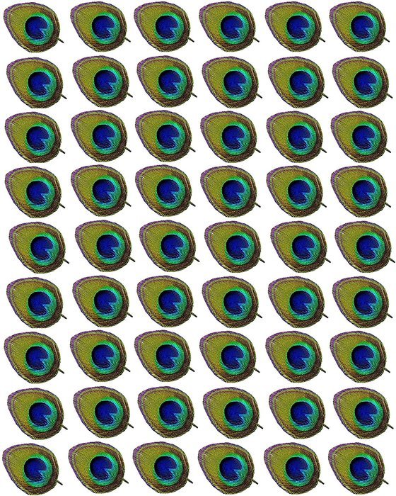Edible Wafer Peacock Feathers ~ 1 1/4" Size BUY TWO GET THIRD FREE! N2