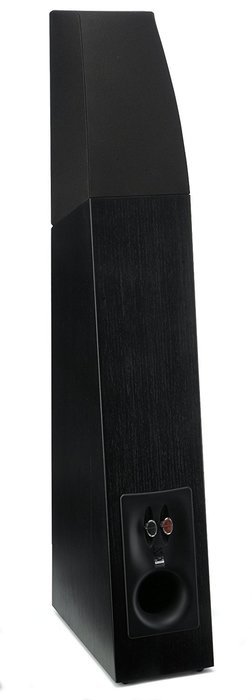 MartinLogan Motion 12 Floorstanding Speaker (Black Ash, each) (Discontinued by Manufacturer) N2