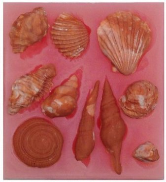 Oasis Supply Sea World Kit Mold, Silicone
